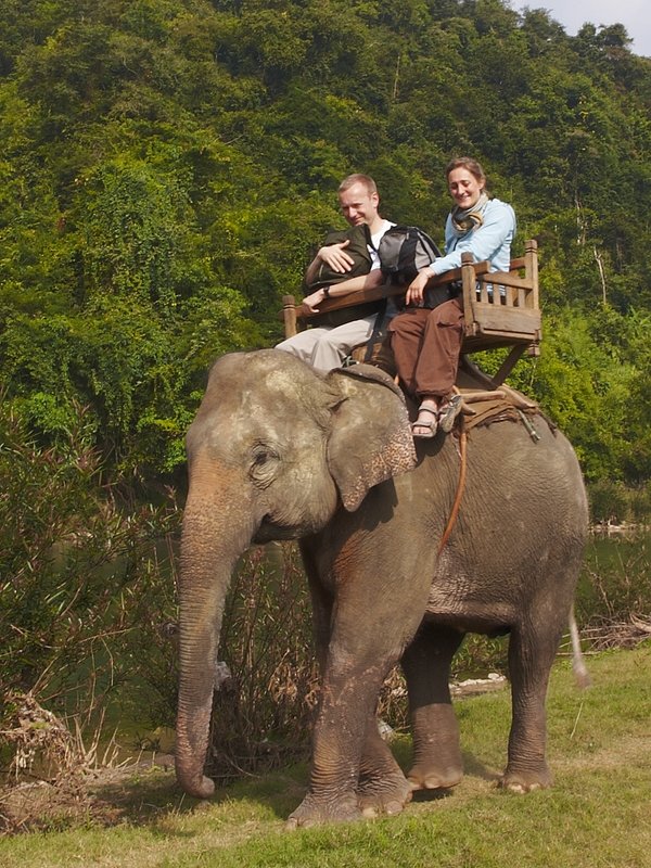 Elephant